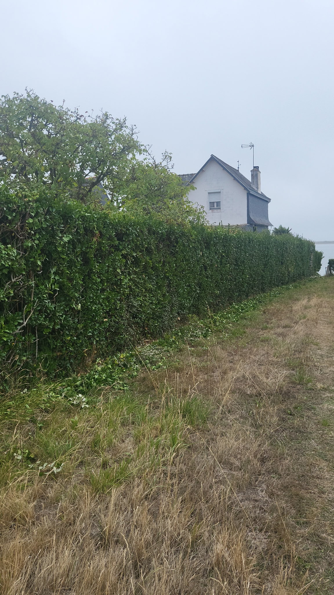 Travaux espaces verts